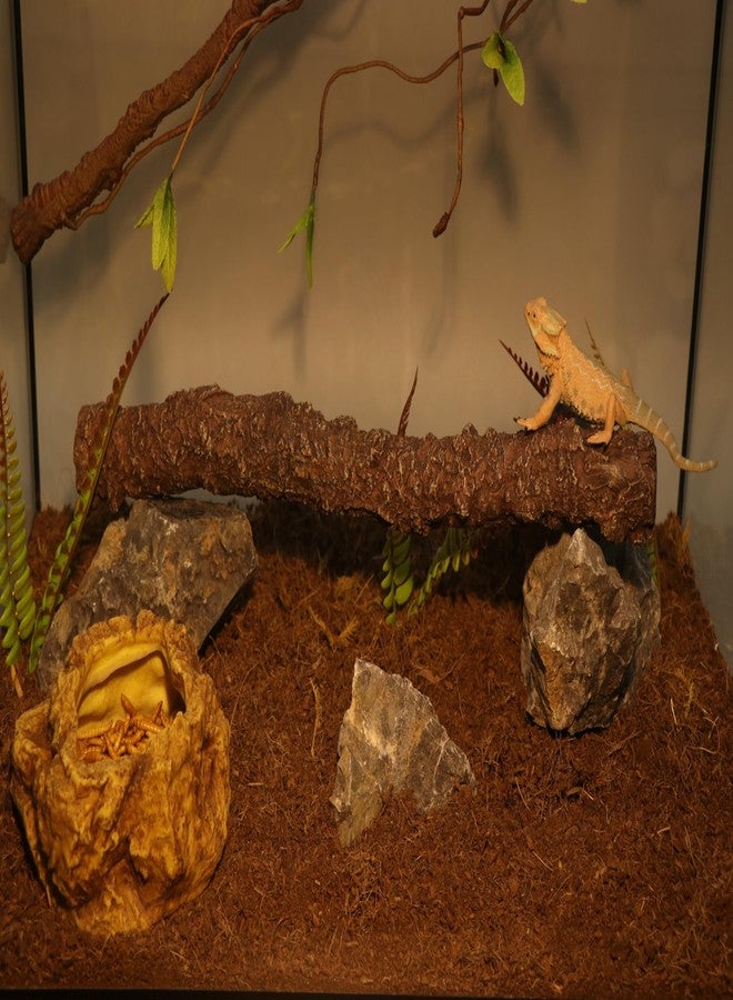 AQUA KT Reptile Climbing Stick Corner Tree Branch for Lizard Bearded Dragon Snake Hermit Crab Leopard Gecko Tree Frog Climber Accessory Terrarium Habitat Decoration - Image 4